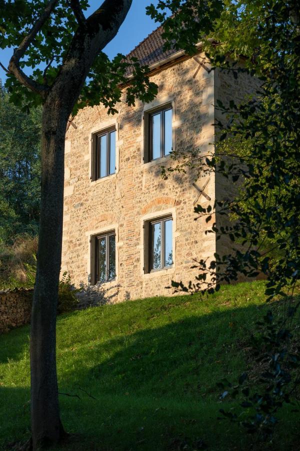 Chateau Du Souzy Quincié-en-Beaujolais Extérieur photo