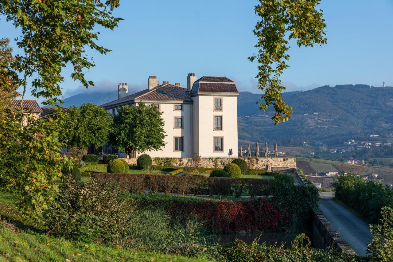 Chateau Du Souzy Quincié-en-Beaujolais Extérieur photo