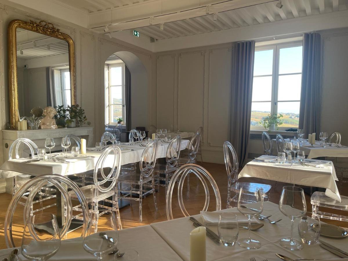 Chateau Du Souzy Quincié-en-Beaujolais Extérieur photo