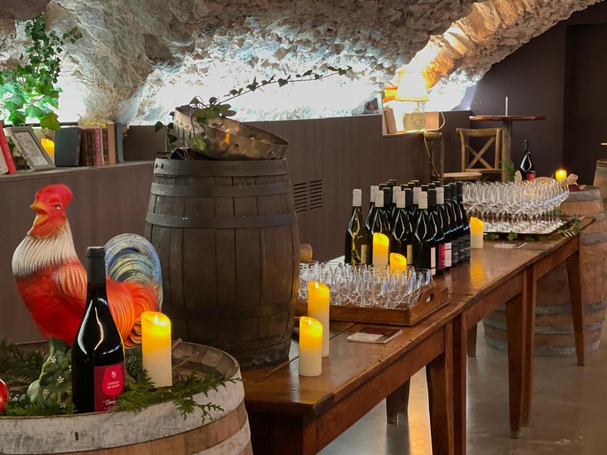 Chateau Du Souzy Quincié-en-Beaujolais Extérieur photo