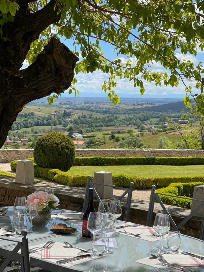 Chateau Du Souzy Quincié-en-Beaujolais Extérieur photo